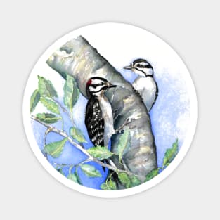 Downy Woodpeckers Magnet